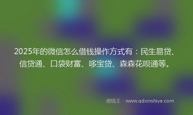 2025年的微信怎么借钱操作方式有：民生易贷、信贷通、口袋财富、哆宝贷、森森花呗通等。