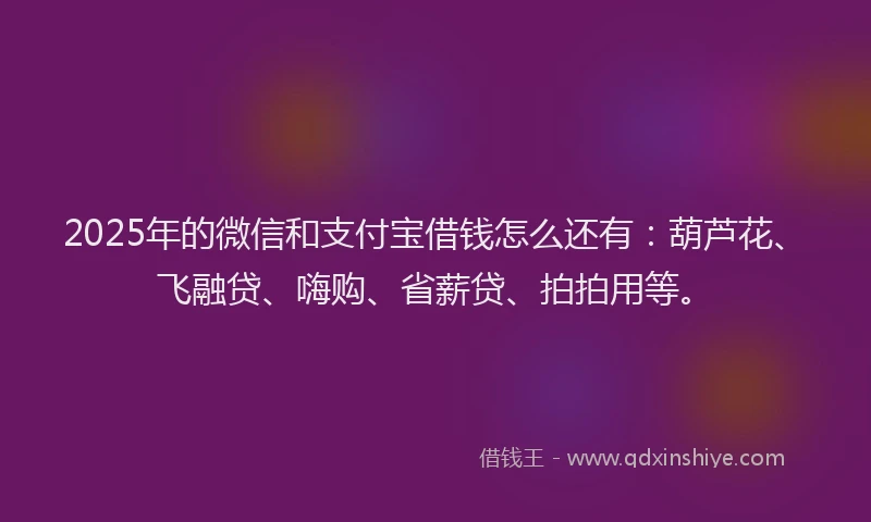 2025年的微信和支付宝借钱怎么还有：葫芦花、飞融贷、嗨购、省薪贷、拍拍用等。