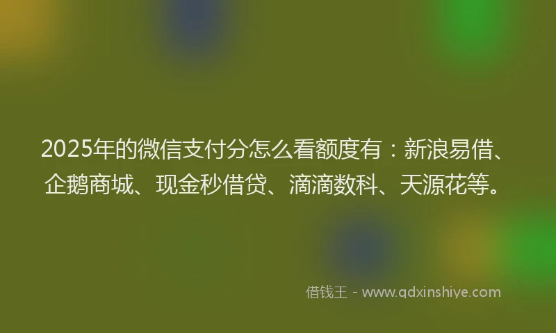 2025年的微信支付分怎么看额度有：新浪易借、企鹅商城、现金秒借贷、滴滴数科、天源花等。