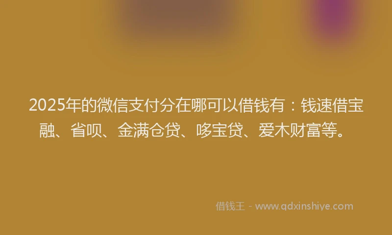 2025年的微信支付分在哪可以借钱有：钱速借宝融、省呗、金满仓贷、哆宝贷、爱木财富等。