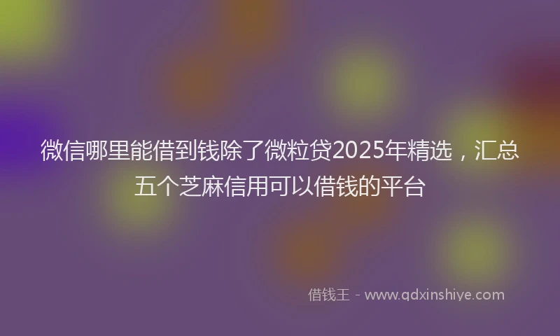 微信哪里能借到钱除了微粒贷2025年精选，汇总五个芝麻信用可以借钱的平台