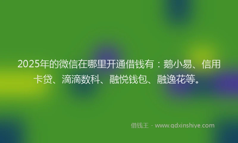 2025年的微信在哪里开通借钱有：鹅小易、信用卡贷、滴滴数科、融悦钱包、融逸花等。