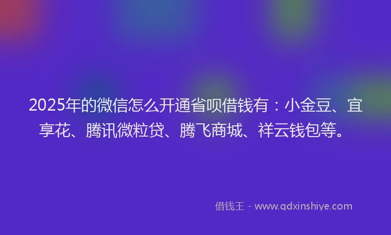 2025年的微信怎么开通省呗借钱有：小金豆、宜享花、腾讯微粒贷、腾飞商城、祥云钱包等。