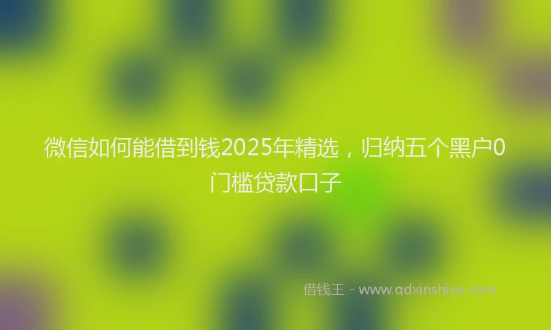 微信如何能借到钱2025年精选，归纳五个黑户0门槛贷款口子