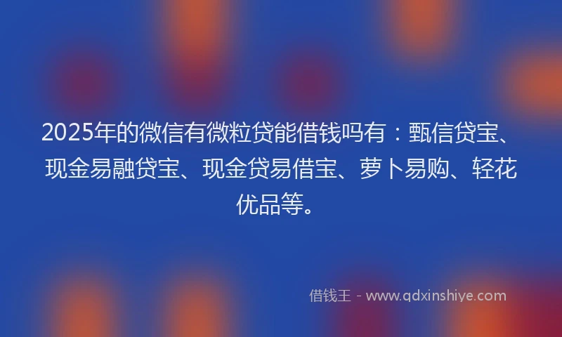 2025年的微信有微粒贷能借钱吗有：甄信贷宝、现金易融贷宝、现金贷易借宝、萝卜易购、轻花优品等。