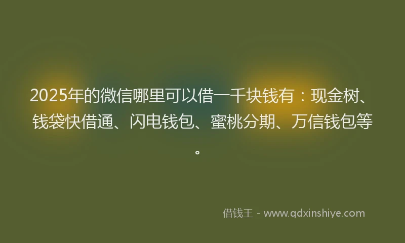 2025年的微信哪里可以借一千块钱有：现金树、钱袋快借通、闪电钱包、蜜桃分期、万信钱包等。
