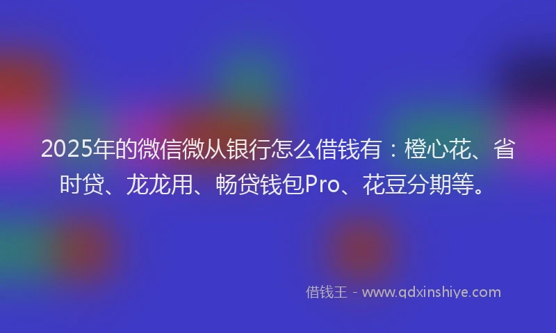 2025年的微信微从银行怎么借钱有：橙心花、省时贷、龙龙用、畅贷钱包Pro、花豆分期等。