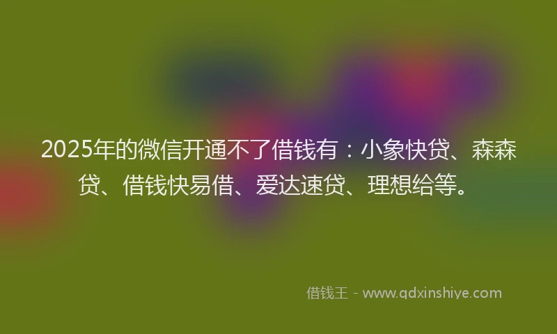 2025年的微信开通不了借钱有：小象快贷、森森贷、借钱快易借、爱达速贷、理想给等。