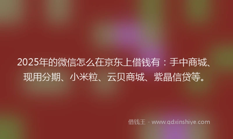 2025年的微信怎么在京东上借钱有：手中商城、现用分期、小米粒、云贝商城、紫晶信贷等。