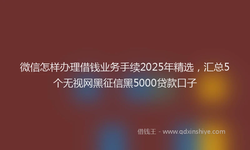 微信怎样办理借钱业务手续2025年精选，汇总5个无视网黑征信黑5000贷款口子