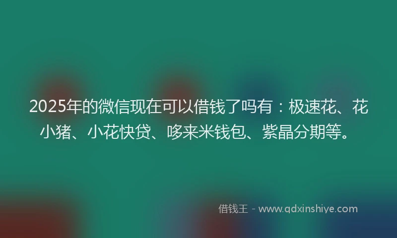 2025年的微信现在可以借钱了吗有：极速花、花小猪、小花快贷、哆来米钱包、紫晶分期等。