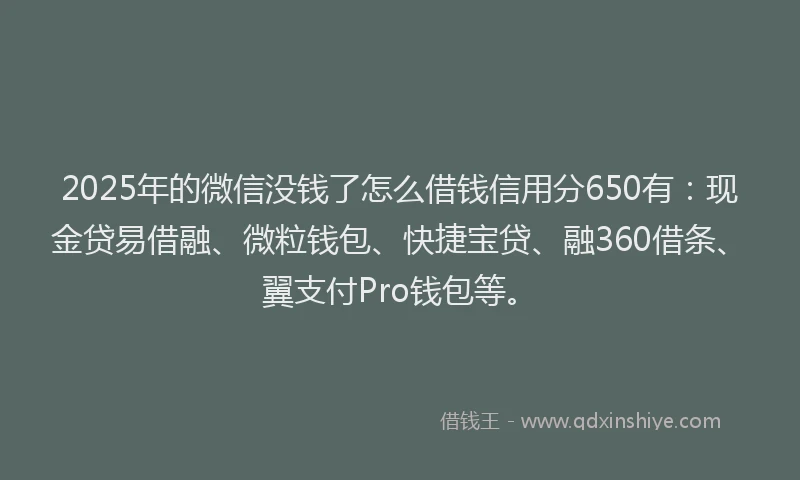 2025年的微信没钱了怎么借钱信用分650有：现金贷易借融、微粒钱包、快捷宝贷、融360借条、翼支付Pro钱包等。