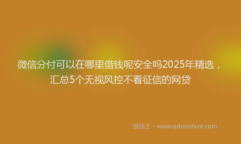 微信分付可以在哪里借钱呢安全吗2025年精选，汇总5个无视风控不看征信的网贷