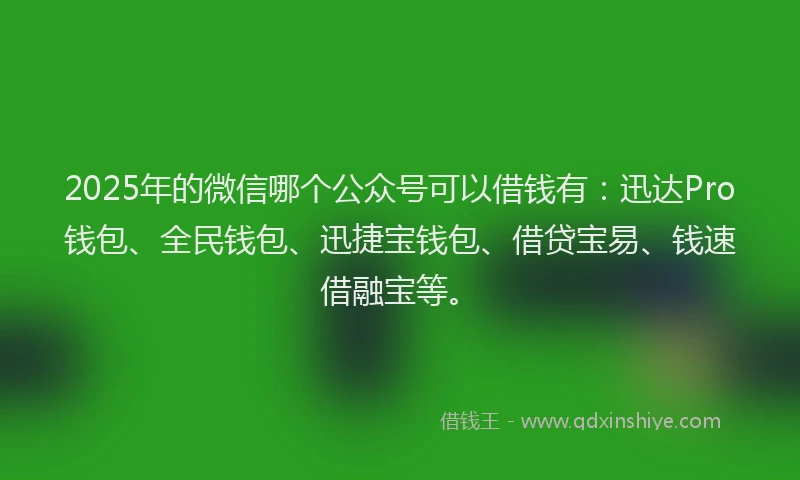2025年的微信哪个公众号可以借钱有：迅达Pro钱包、全民钱包、迅捷宝钱包、借贷宝易、钱速借融宝等。