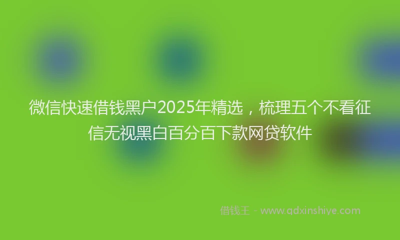 微信快速借钱黑户2025年精选，梳理五个不看征信无视黑白百分百下款网贷软件