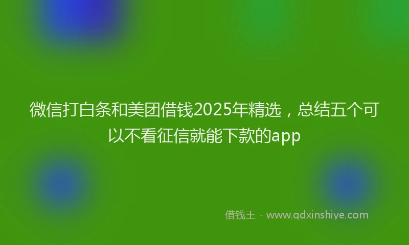 微信打白条和美团借钱2025年精选，总结五个可以不看征信就能下款的app