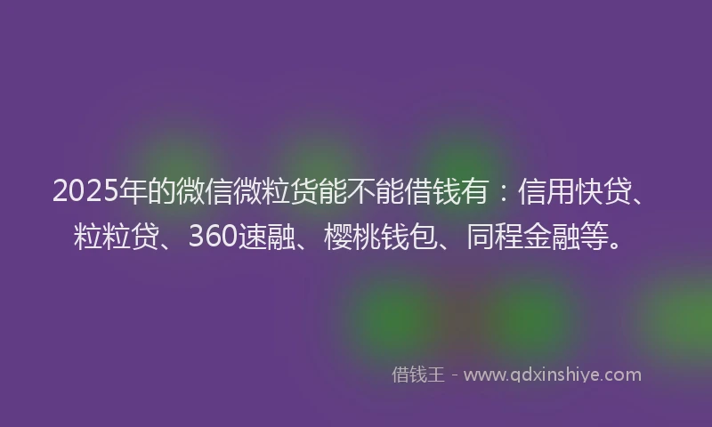 2025年的微信微粒货能不能借钱有：信用快贷、粒粒贷、360速融、樱桃钱包、同程金融等。