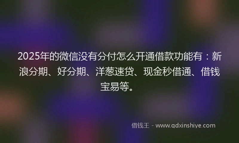 2025年的微信没有分付怎么开通借款功能有：新浪分期、好分期、洋葱速贷、现金秒借通、借钱宝易等。