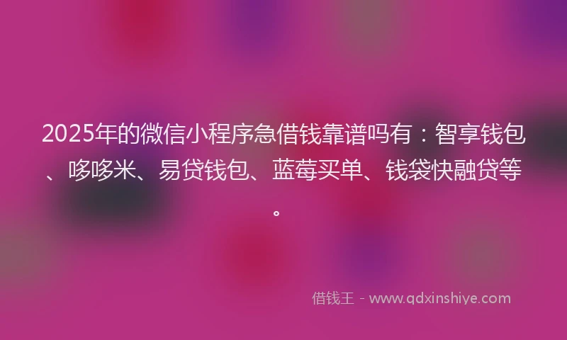 2025年的微信小程序急借钱靠谱吗有：智享钱包、哆哆米、易贷钱包、蓝莓买单、钱袋快融贷等。