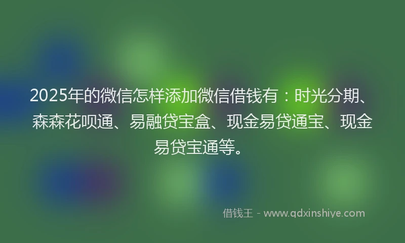 2025年的微信怎样添加微信借钱有：时光分期、森森花呗通、易融贷宝盒、现金易贷通宝、现金易贷宝通等。