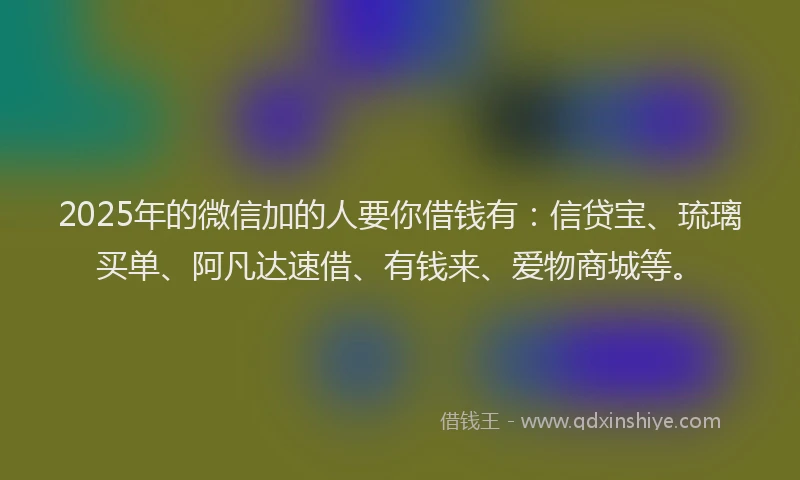 2025年的微信加的人要你借钱有：信贷宝、琉璃买单、阿凡达速借、有钱来、爱物商城等。