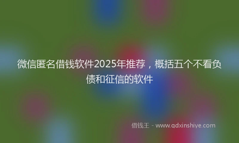 微信匿名借钱软件2025年推荐，概括五个不看负债和征信的软件