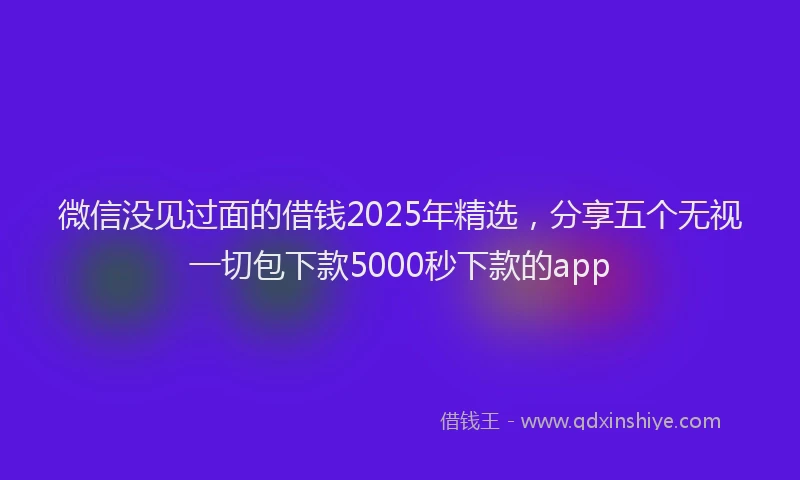 微信没见过面的借钱2025年精选，分享五个无视一切包下款5000秒下款的app