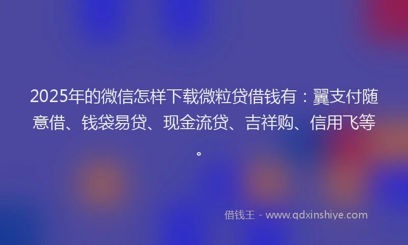 2025年的微信怎样下载微粒贷借钱有：翼支付随意借、钱袋易贷、现金流贷、吉祥购、信用飞等。