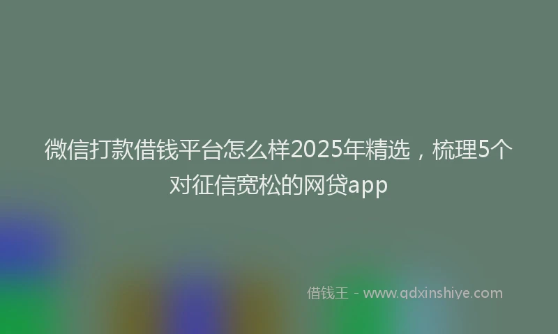 微信打款借钱平台怎么样2025年精选，梳理5个对征信宽松的网贷app
