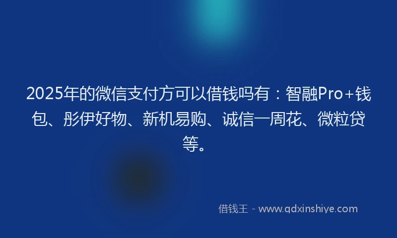 2025年的微信支付方可以借钱吗有：智融Pro+钱包、彤伊好物、新机易购、诚信一周花、微粒贷等。