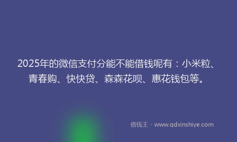 2025年的微信支付分能不能借钱呢有：小米粒、青春购、快快贷、森森花呗、惠花钱包等。