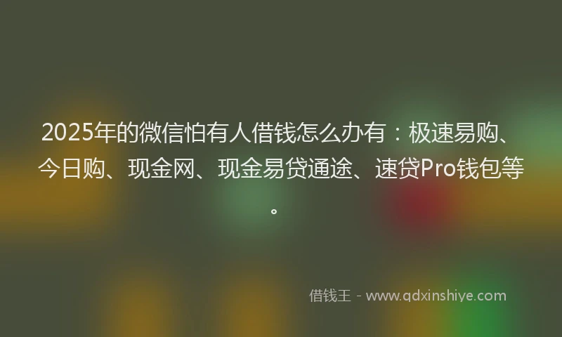 2025年的微信怕有人借钱怎么办有：极速易购、今日购、现金网、现金易贷通途、速贷Pro钱包等。
