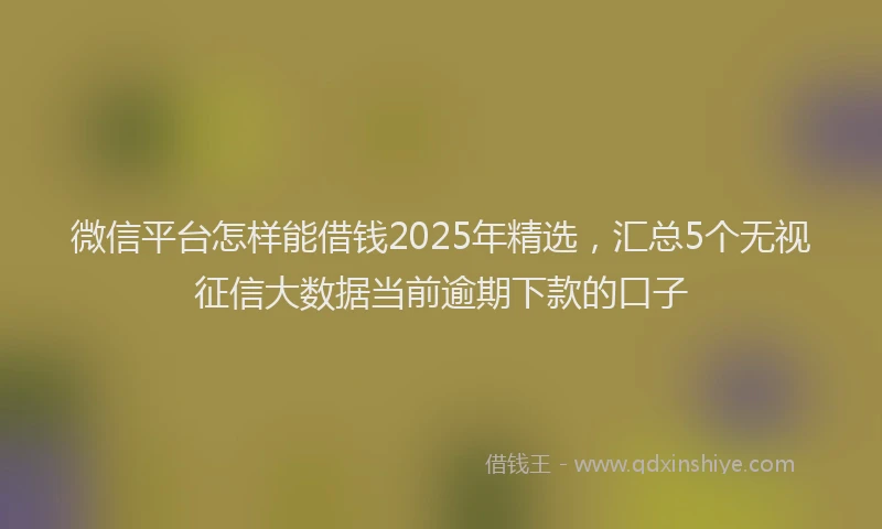微信平台怎样能借钱2025年精选，汇总5个无视征信大数据当前逾期下款的口子