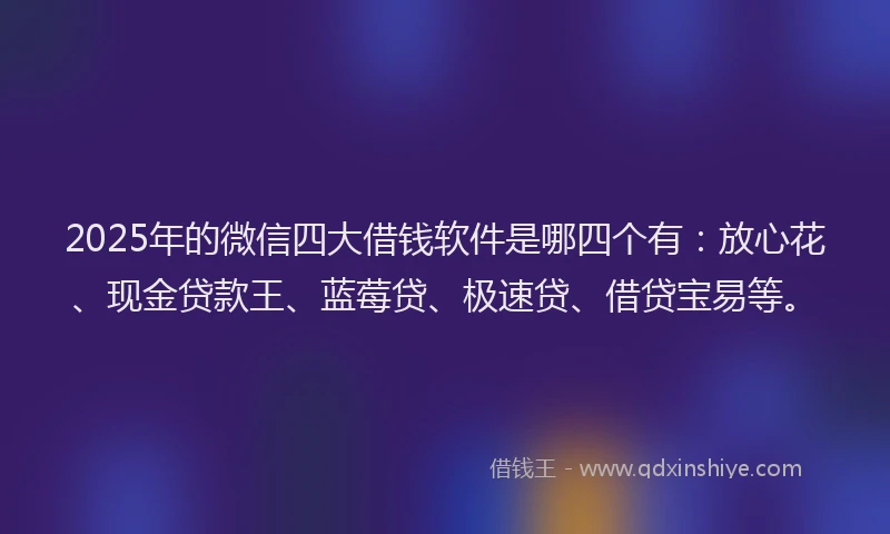 2025年的微信四大借钱软件是哪四个有：放心花、现金贷款王、蓝莓贷、极速贷、借贷宝易等。
