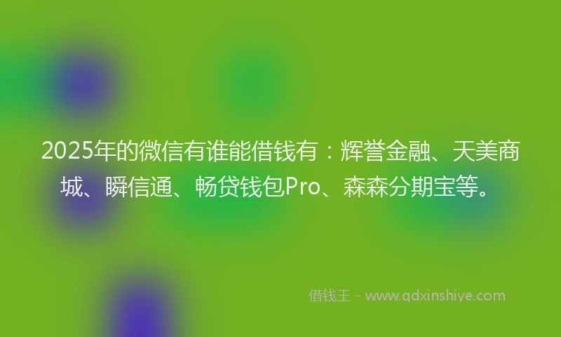2025年的微信有谁能借钱有：辉誉金融、天美商城、瞬信通、畅贷钱包Pro、森森分期宝等。