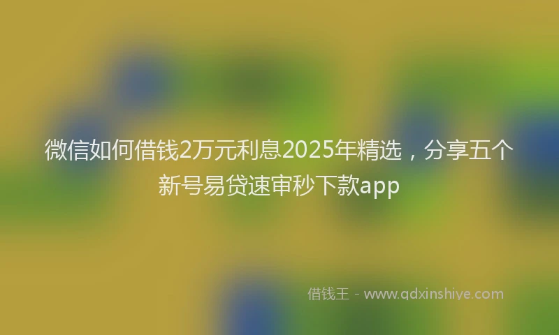 微信如何借钱2万元利息2025年精选，分享五个新号易贷速审秒下款app