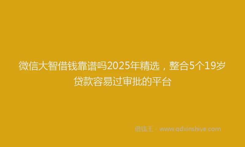 微信大智借钱靠谱吗2025年精选，整合5个19岁贷款容易过审批的平台
