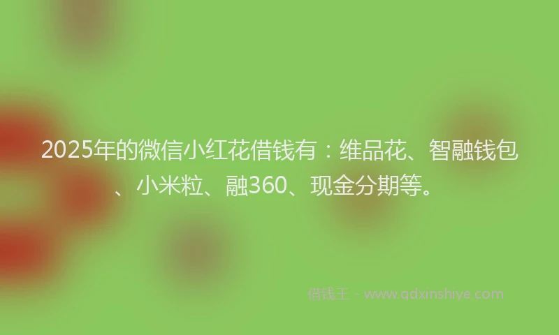 2025年的微信小红花借钱有：维品花、智融钱包、小米粒、融360、现金分期等。