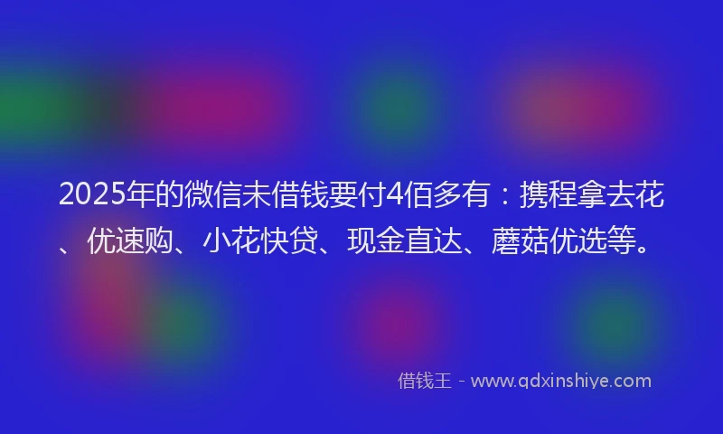 2025年的微信未借钱要付4佰多有：携程拿去花、优速购、小花快贷、现金直达、蘑菇优选等。