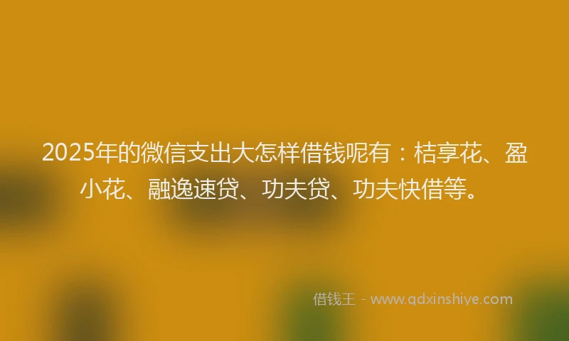2025年的微信支出大怎样借钱呢有：桔享花、盈小花、融逸速贷、功夫贷、功夫快借等。