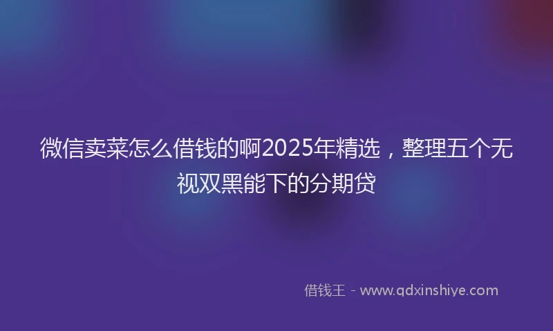 微信卖菜怎么借钱的啊2025年精选，整理五个无视双黑能下的分期贷
