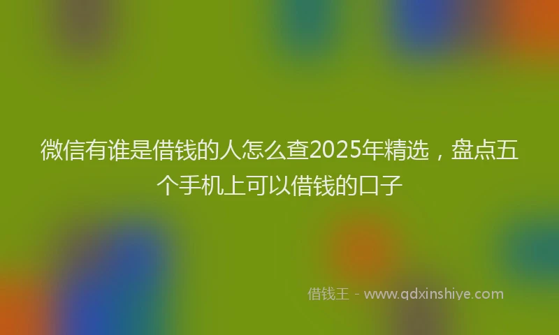 微信有谁是借钱的人怎么查2025年精选，盘点五个手机上可以借钱的口子