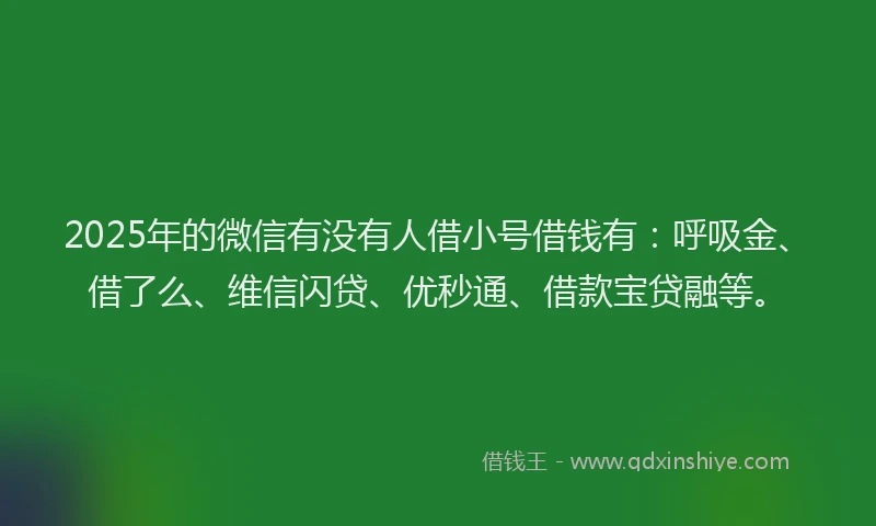 2025年的微信有没有人借小号借钱有：呼吸金、借了么、维信闪贷、优秒通、借款宝贷融等。