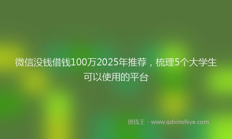 微信没钱借钱100万2025年推荐，梳理5个大学生可以使用的平台