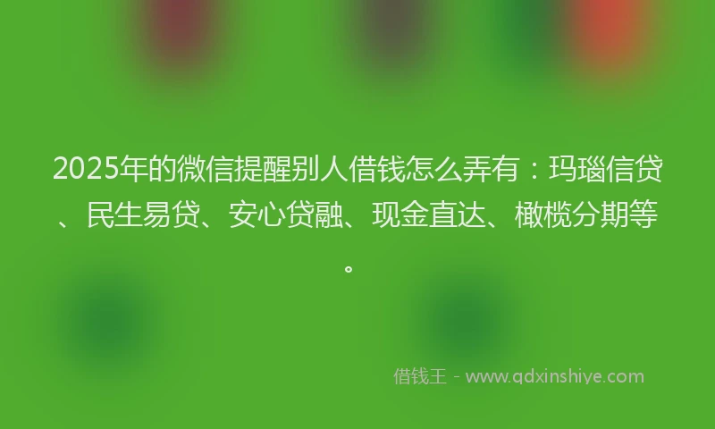 2025年的微信提醒别人借钱怎么弄有：玛瑙信贷、民生易贷、安心贷融、现金直达、橄榄分期等。