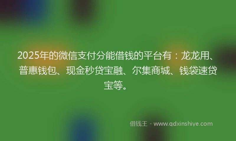 2025年的微信支付分能借钱的平台有：龙龙用、普惠钱包、现金秒贷宝融、尔集商城、钱袋速贷宝等。