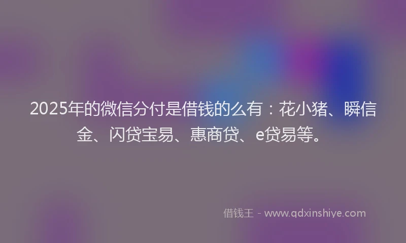 2025年的微信分付是借钱的么有：花小猪、瞬信金、闪贷宝易、惠商贷、e贷易等。