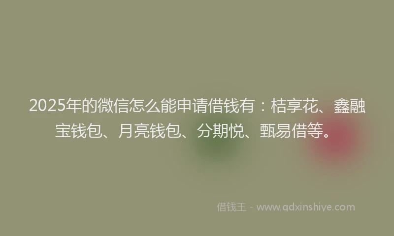 2025年的微信怎么能申请借钱有：桔享花、鑫融宝钱包、月亮钱包、分期悦、甄易借等。