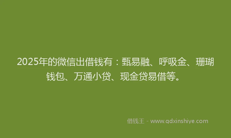 2025年的微信出借钱有：甄易融、呼吸金、珊瑚钱包、万通小贷、现金贷易借等。