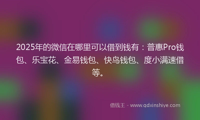 2025年的微信在哪里可以借到钱有：普惠Pro钱包、乐宝花、金易钱包、快鸟钱包、度小满速借等。